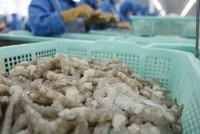 Chế biến sâu, xu hướng thích ứng của doanh nghiệp nông nghiệp