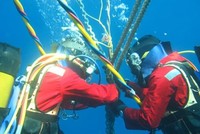 Ngày 11/6 khôi phục hoàn toàn lưu lượng Internet Việt Nam đi quốc tế