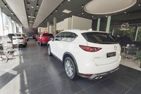 Có khoảng 30 mẫu xe giá phổ thông dưới 2 tỷ đồng lắp ráp trong nước được giảm phí trước bạ.