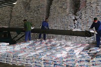 Supe phốt phát và hóa chất Lâm Thao (LAS) không chia cổ tức  năm 2020