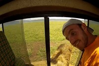 Vuốt ve trêu đùa sư tử châu Phi, hai du khách suýt phải nhận cái kết “đắng lòng“