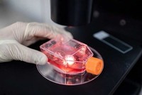 Kiểm tra các loại vắcxin thử nghiệm chữa dịch bệnh COVID-19 trong phòng thí nghiệm. (Nguồn: AFP).