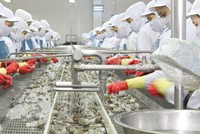 Doanh nghiệp thủy sản đón cơ hội EVFTA