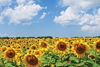 Phát huy mối quan hệ đồng hành giữa báo chí và doanh nghiệp