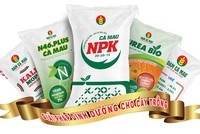 Phân bón Dầu khí Cà Mau (PVCFC) bứt phá dựa trên nội lực bền vững