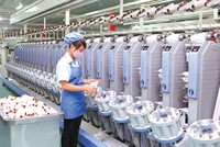 Năm 2020, dệt may Việt Nam (VGT) lên kế hoạch giảm một nửa lợi nhuận