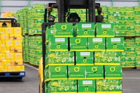 Thế nào là một CEO chuyên nghiệp?