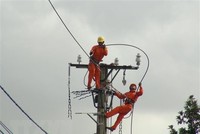 Công nhân Công ty Điện lực Quảng Bình sửa chữa điện lưới. (Ảnh: Đức Thọ/TTXVN).