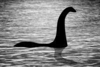 Vô tình khách du lịch chụp được bức ảnh rõ nét nhất chứng minh sự tồn tại của quái vật hồ Loch Ness