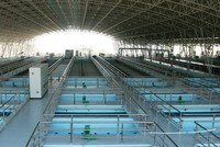 Ngành nước hấp dẫn nhiều “ông lớn” 