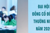 Nhiều doanh nghiệp lỡ hẹn đại hội trước tháng 7 