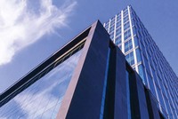 Cẩn trọng với cổ phiếu nóng THD