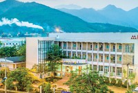 Cao su Đà Nẵng (DRC) phòng thủ khi thị trường gặp khó