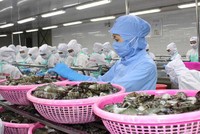 EVFTA được thực thi hiệu quả sẽ tác động tích cực đến thương mại, đầu tư giữa Việt Nam và EU.