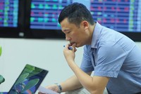 Chiến lược đầu tư vào doanh nghiệp tăng trưởng sẽ bền vững và an toàn hơn.