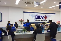 Giao dịch tại BIDV. (Ảnh: PV/Vietnam+).