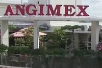 6 tháng, Xuất nhập khẩu An Giang (AGM) báo lãi giảm hơn 40%