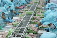 Ngành thuỷ sản thấy trước thách thức 