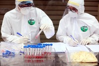 Ảnh minh hoạ. (Ảnh: TTXVN).