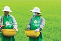 Gia nhập chuỗi sản xuất, bài toán lớn cho doanh nghiệp hậu Covid