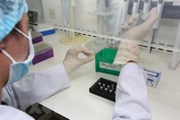 (Ảnh: TTXVN/Vietnam+).