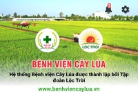 Tập đoàn Lộc Trời ra mắt ứng dụng “Bệnh Viện Cây Lúa” dành riêng cho người nông dân