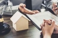 Nhà phân phối cũng vướng kiện vi phạm sở hữu trí tuệ