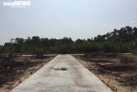 Thanh tra Chính phủ phát hiện nhiều sai phạm trong công tác quản lý sử dụng đất đai ở Kiên Giang.