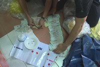 Ảnh minh họa. (Nguồn:TTXVN).