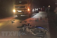 (Ảnh minh họa: TTXVN phát).