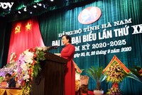 Bí thư Tỉnh ủy Hà Nam Lê Thị Thủy.