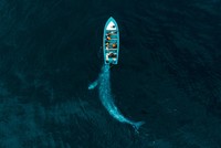 Những bức hình đẹp nhất, ấn tượng nhất của cuộc thi nhiếp ảnh Drone Photo Awards 2020