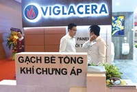 Dự kiến, trong tháng 11 - 12/2020, Nhà nước sẽ thoái toàn bộ vốn tại Viglacera. Ảnh: Dũng Minh.