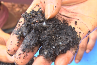 Nhiều vụ phân bón kém chất lượng, phân bón giả được phát hiện tại tỉnh Đắk Nông (ảnh minh họa).