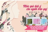 Mollis khuyến mãi mừng ngày Phụ nữ Việt Nam 20/10