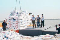 Sóng cổ phiếu phân bón nhờ lực đẩy từ chính sách