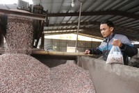 Thị trường phân bón NPK có sự cạnh tranh gay gắt. Ảnh: Dũng Minh.