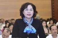 Bà Nguyễn Thị Hồng. (Ảnh: Doãn Tấn/TTXVN).