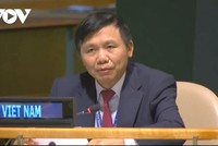 Đại sứ Đặng Đình Quý phát biểu tại phiên họp.