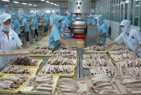 10 tháng 2020, thương mại Việt Nam với 14 thị trường RCEP đạt 240 tỷ USD.