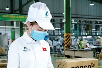 Nhà máy sản xuất bao bì của Tập đoàn An Phát Holdings.