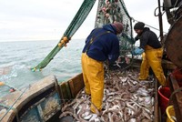 Ngư dân đánh bắt cá ở ngoài khơi bờ biển phía Đông Nam Anh ngày 12/10/2020. Ảnh: AFP/TTXVN.