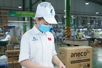 APH đứng thứ 2 trong khu vực ASEAN về sản lượng sản xuất bao bì nhựa.