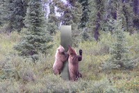 Ảnh: National Park Service.