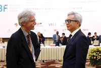 VBF là một cơ chế đối thoại liên tục và chặt chẽ giữa Chính phủ Việt Nam với cộng đồng các doanh nghiệp trong nước và quốc tế.