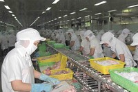 Công nghiệp chế biến là lĩnh vực được tỉnh An Giang khuyến khích đầu tư.