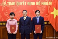 Thứ trưởng Lê Hoài Trung trao quyết định và chúc mừng các cán bộ được bổ nhiệm giữ chức vụ mới.