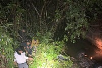 Xe bán tải lao xuống vệ đường, 2 người tử vong