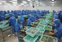 Sao Ta đang nỗ lực "tìm cơ trong nguy".