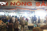 Nông sản về Chợ đầu mối Thủ Đức.